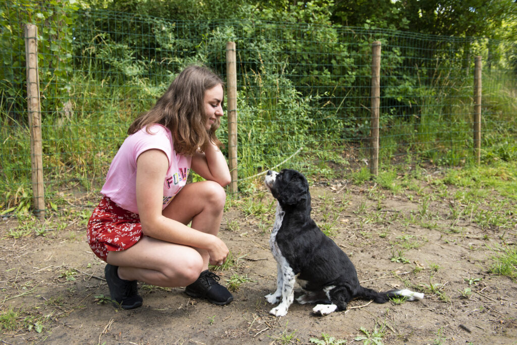 dieren4