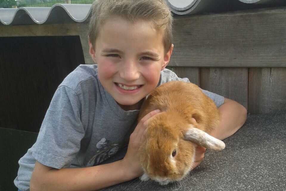 dieren5a